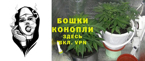 сатива Белоозёрский